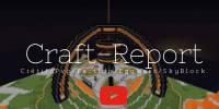 Miniature du serveur Craft Report