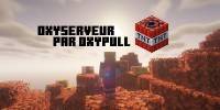 Miniature du serveur Oxyserveur de survie