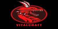 Miniature du serveur Vitalcraft