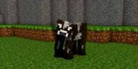 Miniature du serveur Les boosted