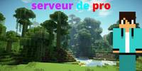 Miniature du serveur mini jeu
