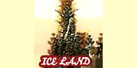 Miniature du serveur IceLand