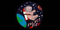 Miniature du serveur RocketPig