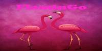 Miniature du serveur FlaminGo