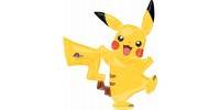Miniature du serveur Pokemon attraper le tous