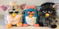 Miniature du serveur Les Furbys