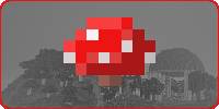 Miniature du serveur Mushroom Network