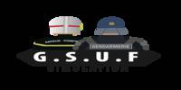 Miniature du serveur GSUF simulation