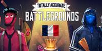 Miniature du serveur Totally Accurate Battlegrounds France