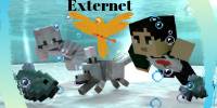 Miniature du serveur Externet
