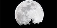 Miniature du serveur Lune