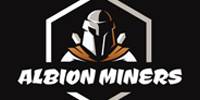 Miniature du serveur AlbionMiners