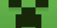Miniature du serveur mine craft et la survie