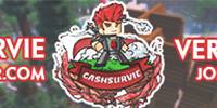 Miniature du serveur CashSurvie 1.14.4