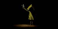 Miniature du serveur Little Nightmares FR