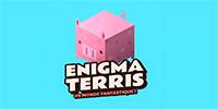Miniature du serveur EnigmaTerris - Serveur Survie 1.17.1 (Economie unique)