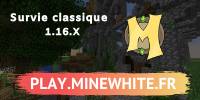 Miniature du serveur MineWhite