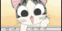 Miniature du serveur Neko Café 2.0