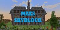 Miniature du serveur MAES_SKYBLOCK