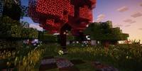 Miniature du serveur Turfu
