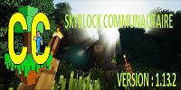 Miniature du serveur CommunityCube
