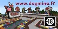 Miniature du serveur serveur minecraft adulte